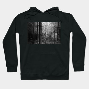 forest in black and white Hoodie